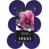 Candles by Spaas geurkaarsen - 36x stuks in 3 geuren Blossom Flowers - Exotic Wood - Wild Orchid