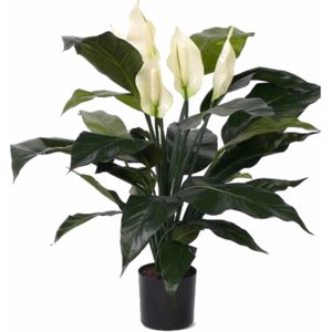 Bellatio Flowers & Plants Kunstplant Lepelplant - Groen - 75 cm