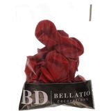 Bellatio Decorations ballonnen - 60x stuks - rood - 27 cm - helium of lucht - verjaardag / versiering