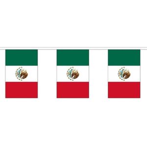 Buiten vlaggenlijn Mexico - 300 cm - Mexicaanse slingers versiering