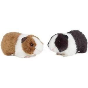 Set van 2x pluche Cavia knuffels met geluid 20 cm - Cavia huisdieren knuffels - Speelgoed