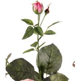 Top Art Kunstbloem roos Ariana - 5x - roze - 73 cm - kunststof steel - decoratie bloemen