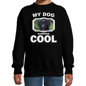 Friese stabij honden trui / sweater my dog is serious cool zwart - kinderen - Friese stabijs liefhebber cadeau sweaters - kinderkleding / kleding