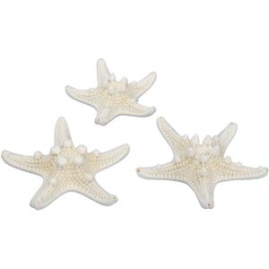 Othmar Decorations Decoratie zeesterren - 24x stuks - naturel wit - 5-7 cm