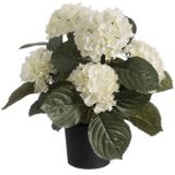 Witte hortensia kunstplant in zwarte kunststof pot 44 cm - Hydrangea - Woondecoratie