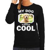 Golden retriever honden trui / sweater my dog is serious cool zwart - dames - Golden retrievers liefhebber cadeau sweaters