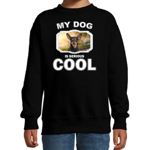 Dwergpinscher honden trui / sweater my dog is serious cool zwart - kinderen - Dwergpinschers liefhebber cadeau sweaters - kinderkleding / kleding