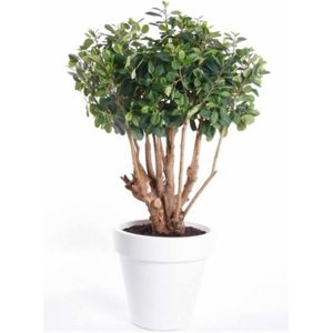Kunstplant Ficus Groen In Witte Ronde Pot 70 cm