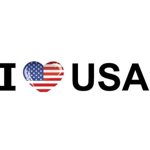 Set van 10x stuks i Love USA sticker
