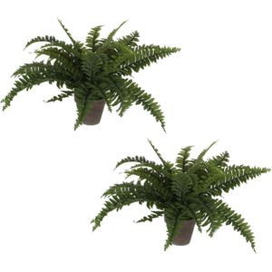2x stuks varen kunstplanten groen in terracotta pot H42 cm - Kunstplanten/nepplanten