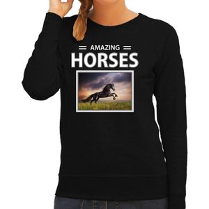 Dieren foto sweater Zwart paard - zwart - dames - amazing horses - cadeau trui Zwarte paarden liefhebber