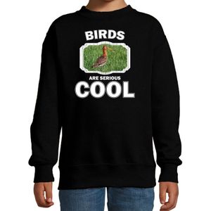 Dieren vogels sweater zwart kinderen - birds are serious cool trui jongens/ meisjes - cadeau grutto vogel/ vogels liefhebber - kinderkleding / kleding