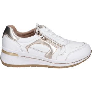 23300 White Light Gold