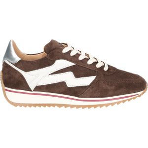 Mikki Alex 62230 04-316 Brown