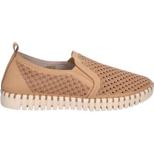 Tulip 140 Men 110 Beige Latte