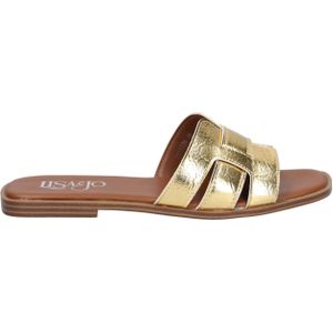 Waylet Gold