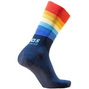 Atlas Rainbow Workwear Sock
