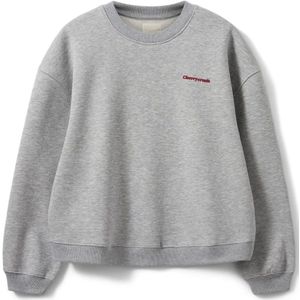 Sofie Schnoor, Sweatshirts & Hoodies, Dames, Grijs, M, Geborduurde Elisw Sweatshirt Grijs Melange