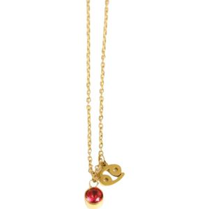 Dansk Copenhagen, Accessoires, Dames, Geel, ONE Size, Robijn Kreeft Ketting Goud Plating