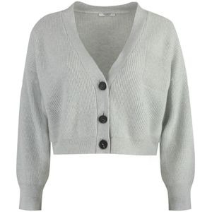 Peserico, Truien, Dames, Grijs, S, Wol, Gebreid vest met versiering