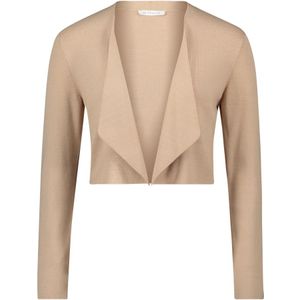 Betty & Co, Truien, Dames, Beige, L, Leer, Fijngebreid vest zonder sluiting