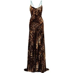 Roberto Cavalli, Kleedjes, Dames, Bruin, S, Jurk met luipaardprint en gedrapeerde sleep