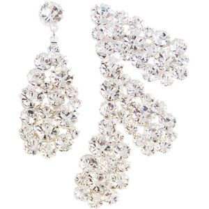 Magda Butrym, Accessoires, Dames, Grijs, ONE Size, Zilveren Kristal Cluster Oorbellen