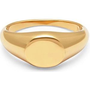 Nialaya, Accessoires, Heren, Geel, 64 MM, Gouden Mini Signet Ring