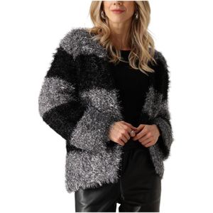 Nukus, Truien, Dames, Grijs, XL, Haily Cardigan Lurex