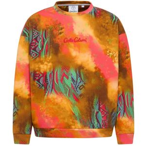 Carlo Colucci, Sweatshirts & Hoodies, Heren, Veelkleurig, M, Sprayed Knit Oversize Sweatshirt