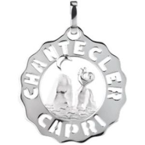 Chantecler, Accessoires, Dames, Grijs, ONE Size, Zilveren Hanger voor Vrouwen