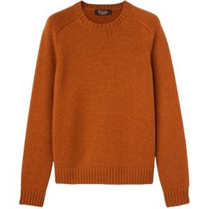 Loro Piana, Truien, Dames, Bruin, XS, Kasjmier, Fluffy Bruine Kasjmier Trui met Ronde Hals