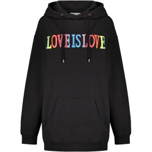 Alberta Ferretti, Sweatshirts & Hoodies, Dames, Zwart, L, Katoen, Katoenen hoodie met kangoeroezak