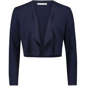 Betty & Co, Truien, Dames, Blauw, 3Xl, Leer, Fijngebreid vest zonder sluiting
