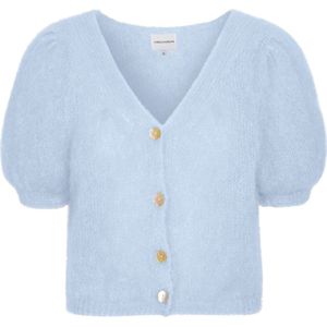 American Dreams, Truien, Dames, Blauw, M, Wol, Lichtblauwe V-hals Cardigan