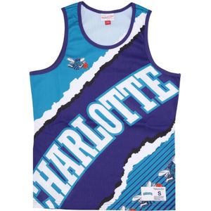 Mitchell & Ness, Sport, Heren, Veelkleurig, L, Polyester, Charlotte Hornets Basketball Tank Top