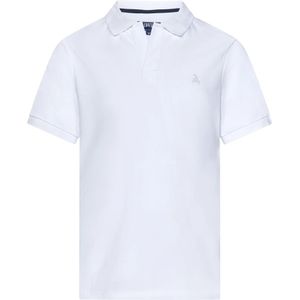 Vilebrequin, Tops, Heren, Wit, L, Katoen, Witte V-hals Poloshirt met Schildpad Borduursel