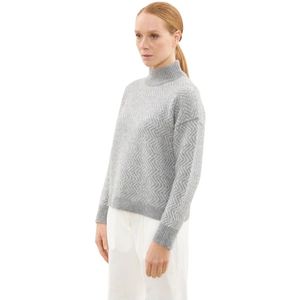 Peserico, Truien, Dames, Grijs, S, Elegante Zwaan Jurk