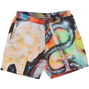 Iuter, Badkleding, Heren, Veelkleurig, L, Polyester, Gedrukte zwemshorts met mesh-ondergoed