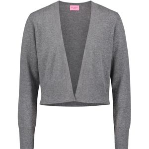 Betty Barclay, Truien, Dames, Grijs, 2Xl, V-hals Fijngebreide Bolero