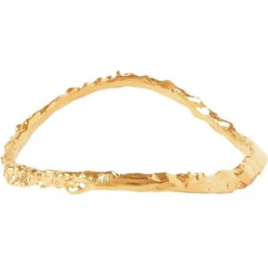 Alighieri, Accessoires, Dames, Geel, M, Inferno Rock Armband