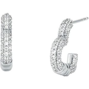 Michael Kors, Accessoires, Dames, Grijs, ONE Size, Hoop Oorbellen Zilver