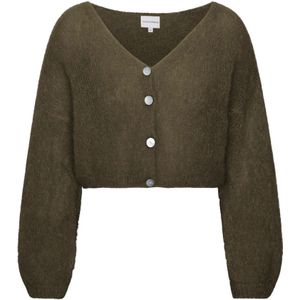American Dreams, Truien, Dames, Grijs, S, Wol, Mohair Cropped Vest Donker Taupe