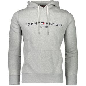 Tommy Hilfiger, Sweatshirts & Hoodies, Heren, Grijs, L, Katoen, Hoodie met geborduurd Tommy-logo