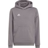 adidas - Entrada 22 Hoodie Youth - Grijze Trui Kids