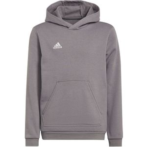 adidas - Entrada 22 Hoodie Youth - Grijze Trui Kids