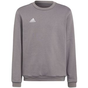 adidas - Entrada 22 Sweat Top Youth - Grijze Sweater