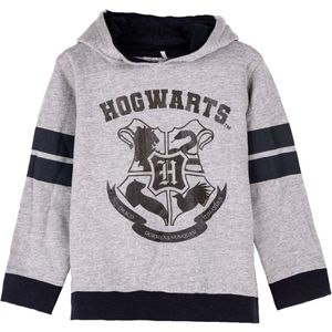 Kinderhoodie Harry Potter Grijs Maat 8 Jaar