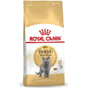 Kattenvoer Royal Canin British Shorthair Adult Volwassen 10 kg