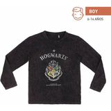 Kinder-T-Shirt met Lange Mouwen Harry Potter Grijs Donker grijs Maat 6 Jaar
